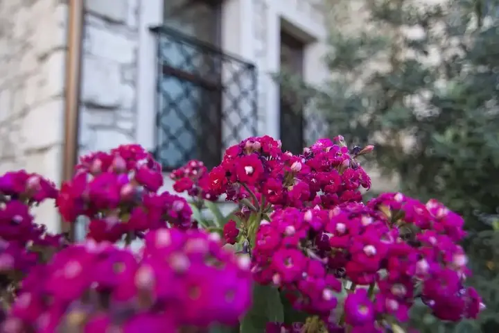 Чешме: D'core Alacati