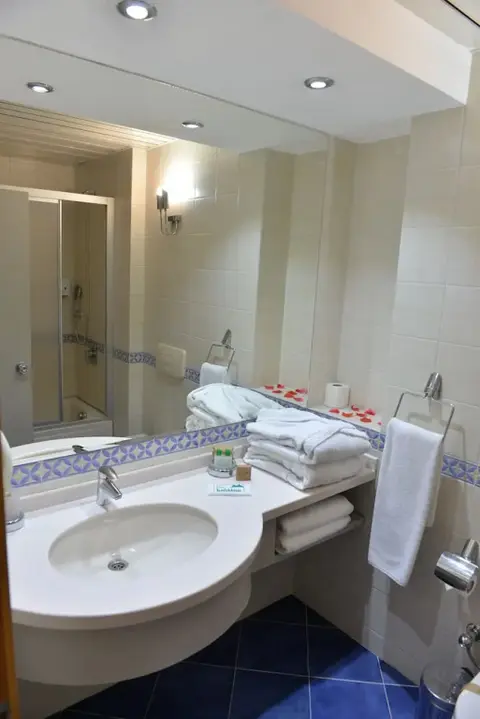 Орду: Baliktasi Hotel