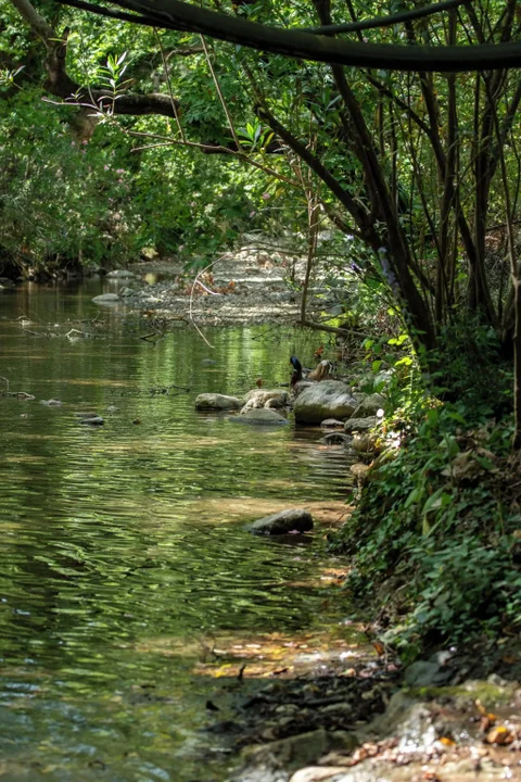 Кумлуджа: Yoruk Park Pansiyon
