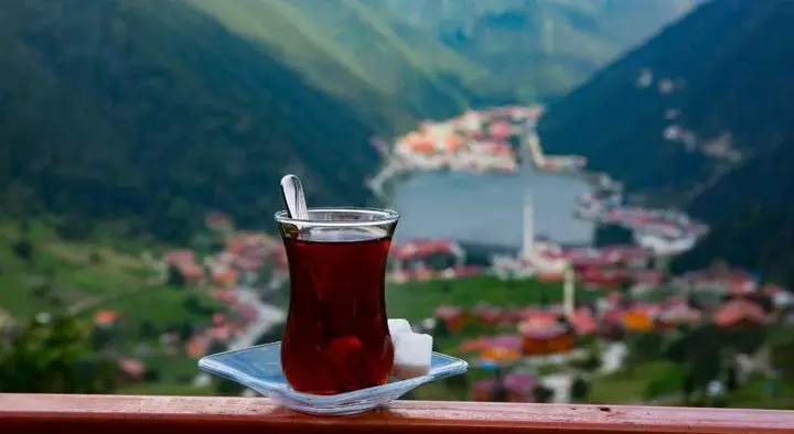 Узунгёль: Kar Hotel