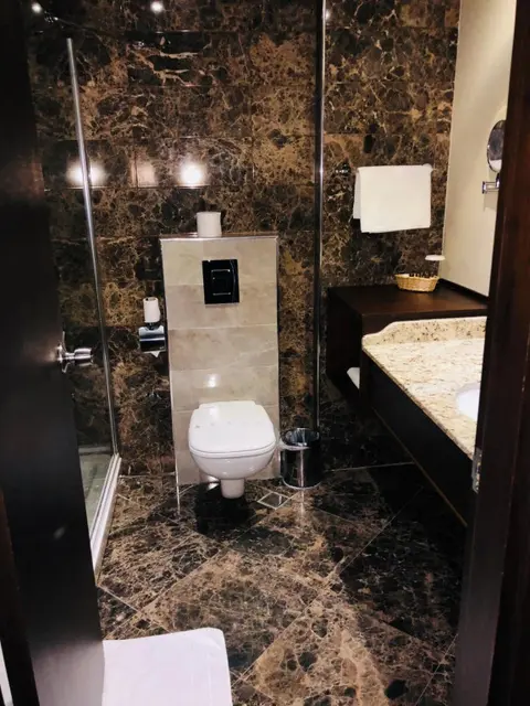 Самсун: Grand Amisos Hotel