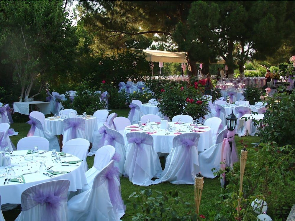 Дикили: Kyme Hotel