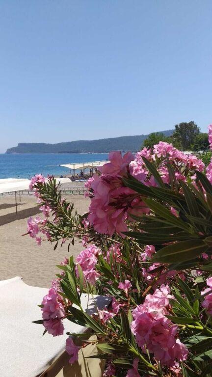 Кемер: Uğur Beach Hotel