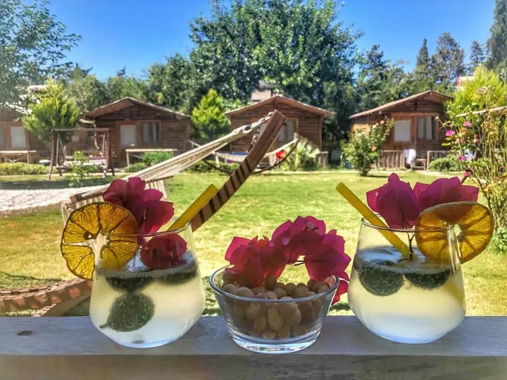 Тургутрейс: Pitos Bungalows