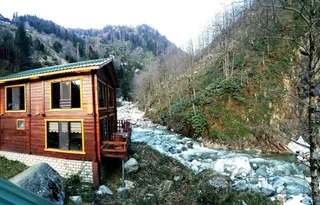 Чамлыхемшин: Ayder Elizan Hotel