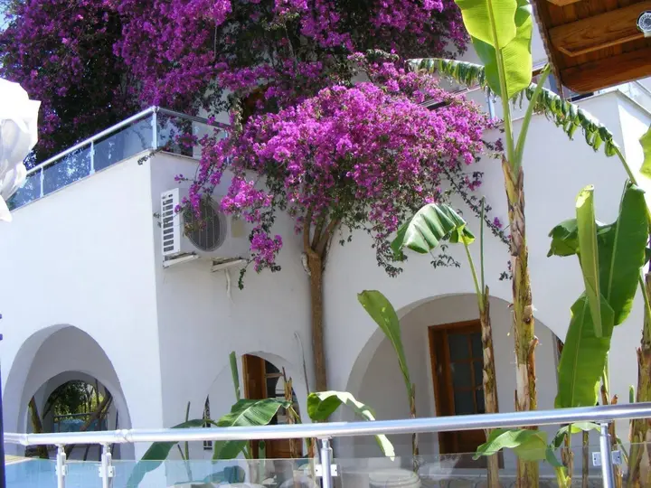 Бодрум: Filis Hotel