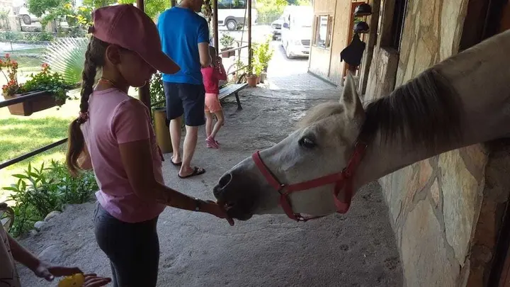 Чамьюва: Oranj Ranch Hotel