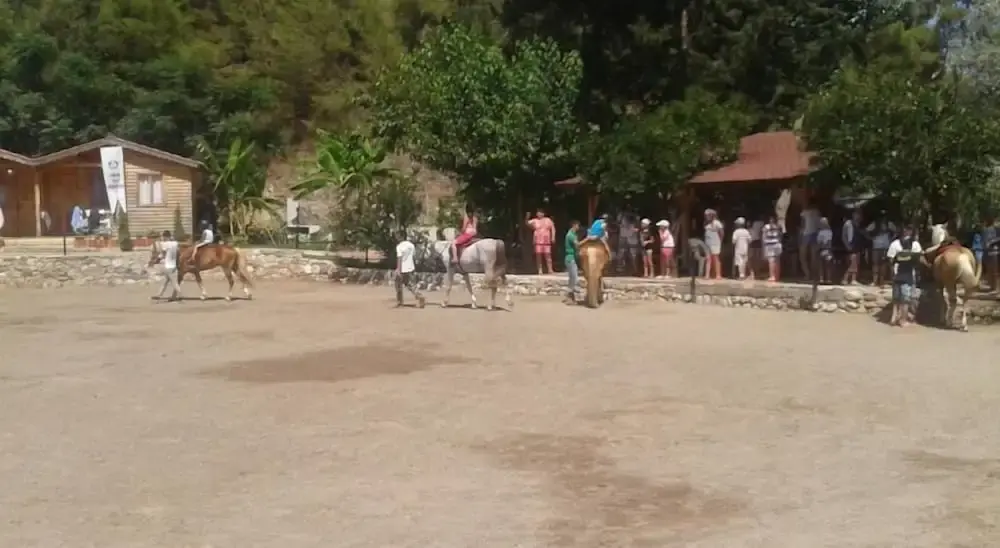 carousel image 1