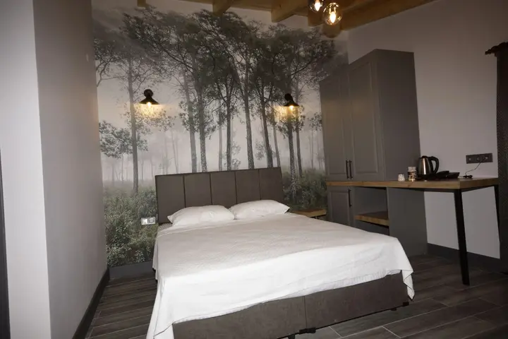 Артвин: Koru Butik Otel