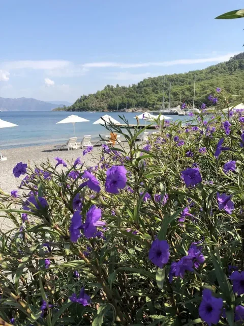 Кумлюбюк: Kumlubük Maris Hotel