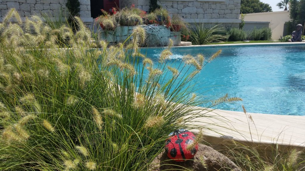 Чешме: Cassiopeia Hotel Alacati