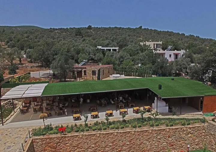 Бодрум: Tomato Bodrum