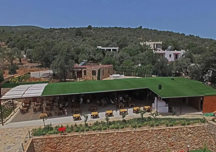 Бодрум: Tomato Bodrum