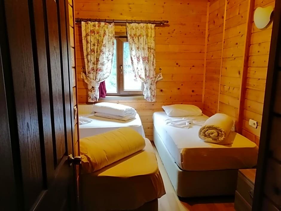 Чамлыхемшин: Ayder Paradise Otel
