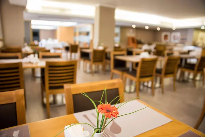 Айдын: Efeler Hotel