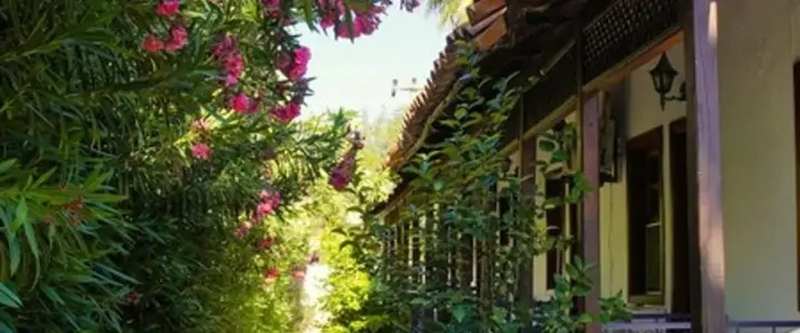 Дальян: Dalyan Yunus Hotel
