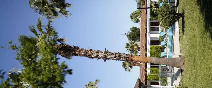 Дальян: Dalyan Yunus Hotel