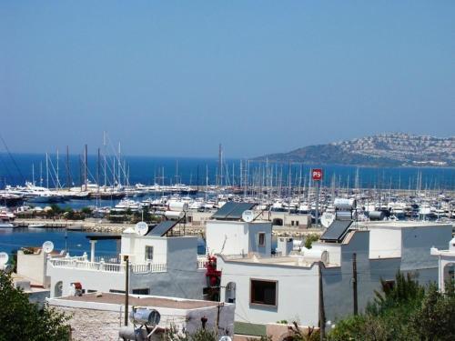 Тургутрейс: Paradise Apart Otel