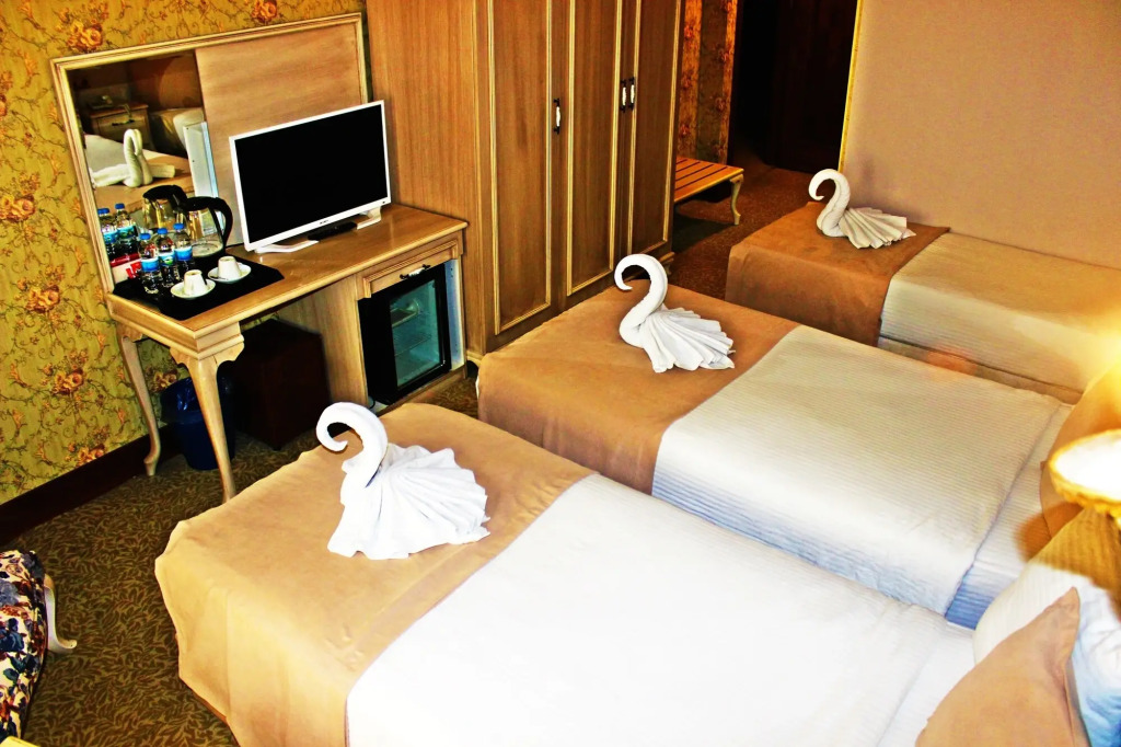 Эскишехир: Vendome Hotel