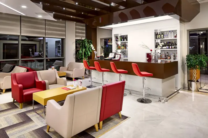 Эскишехир: The Merlot Hotel
