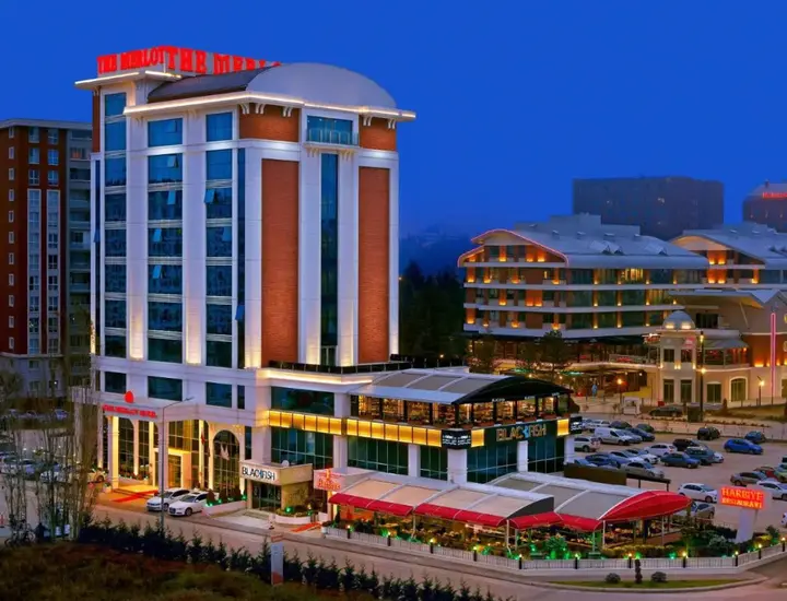 Эскишехир: The Merlot Hotel