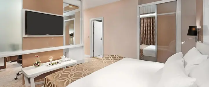 Эскишехир: The Merlot Hotel