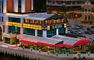 Эскишехир: The Merlot Hotel