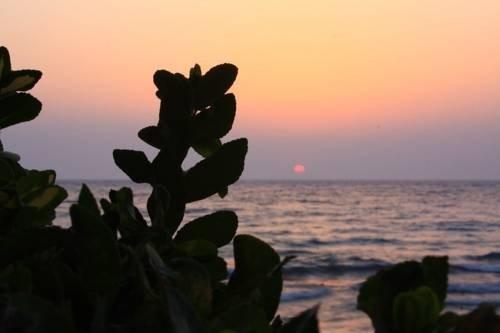 Кушадасы: Mor Suite