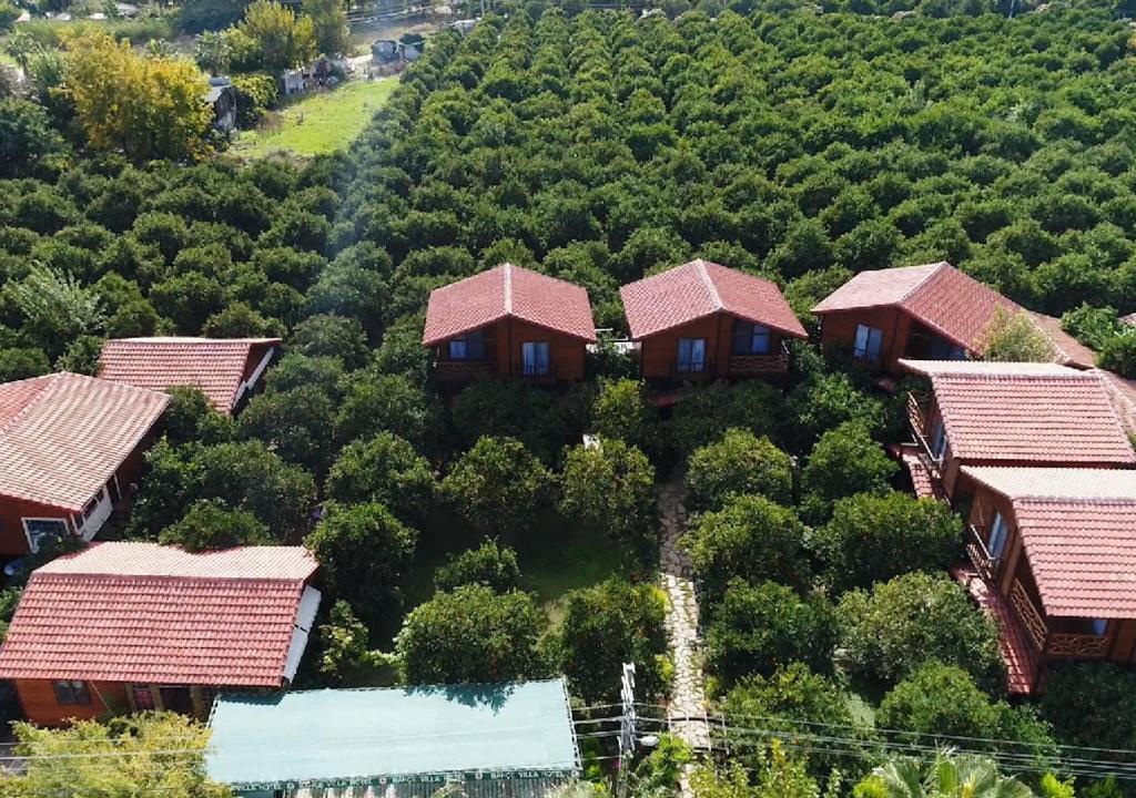 Чиралы: Bahçe Villa