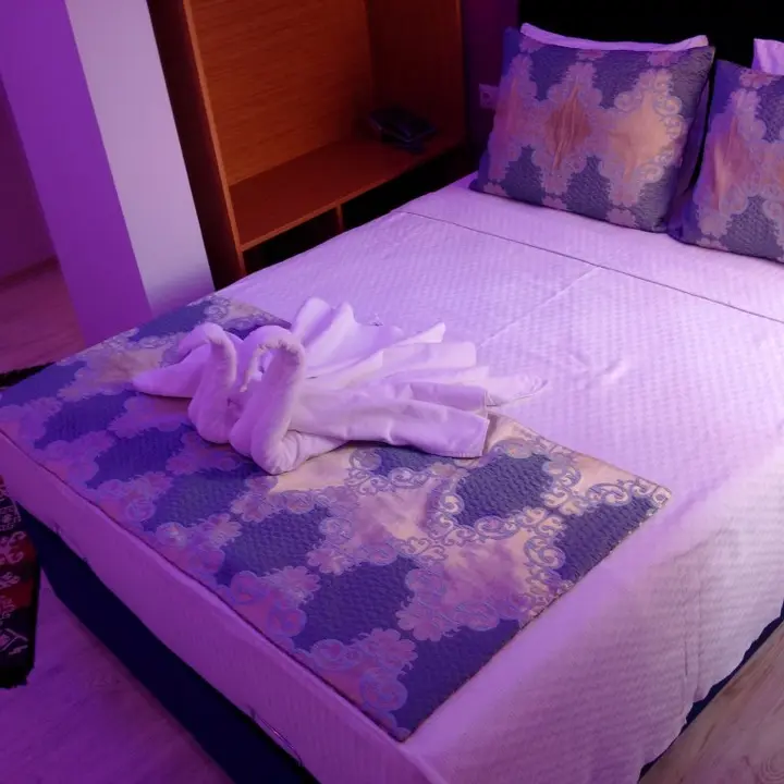 Helvaci: Otel Safran Palas