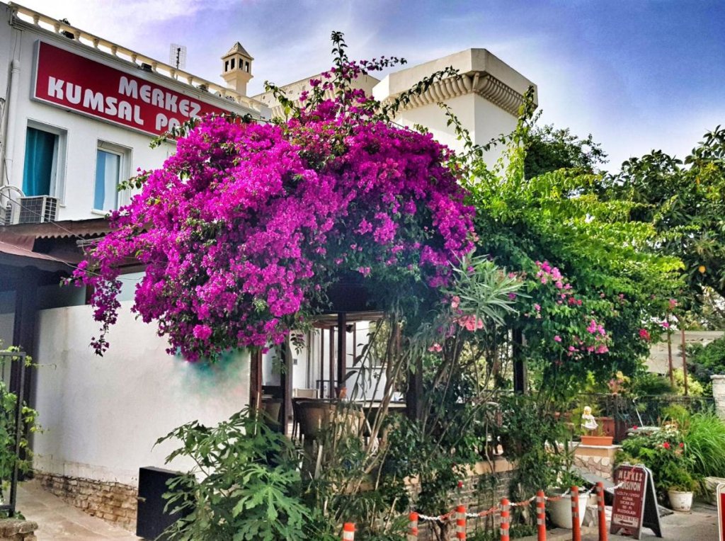 Бодрум: Bodrum Merkez Kumsal Pansiyon