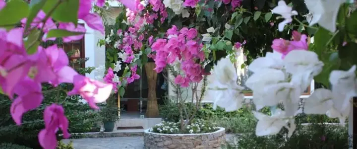 Кумлюбюк: Sayfiye Ekincik Otel