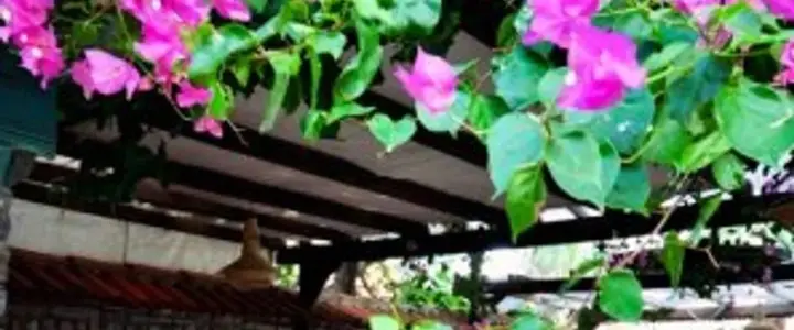 Кумлюбюк: Sayfiye Ekincik Otel