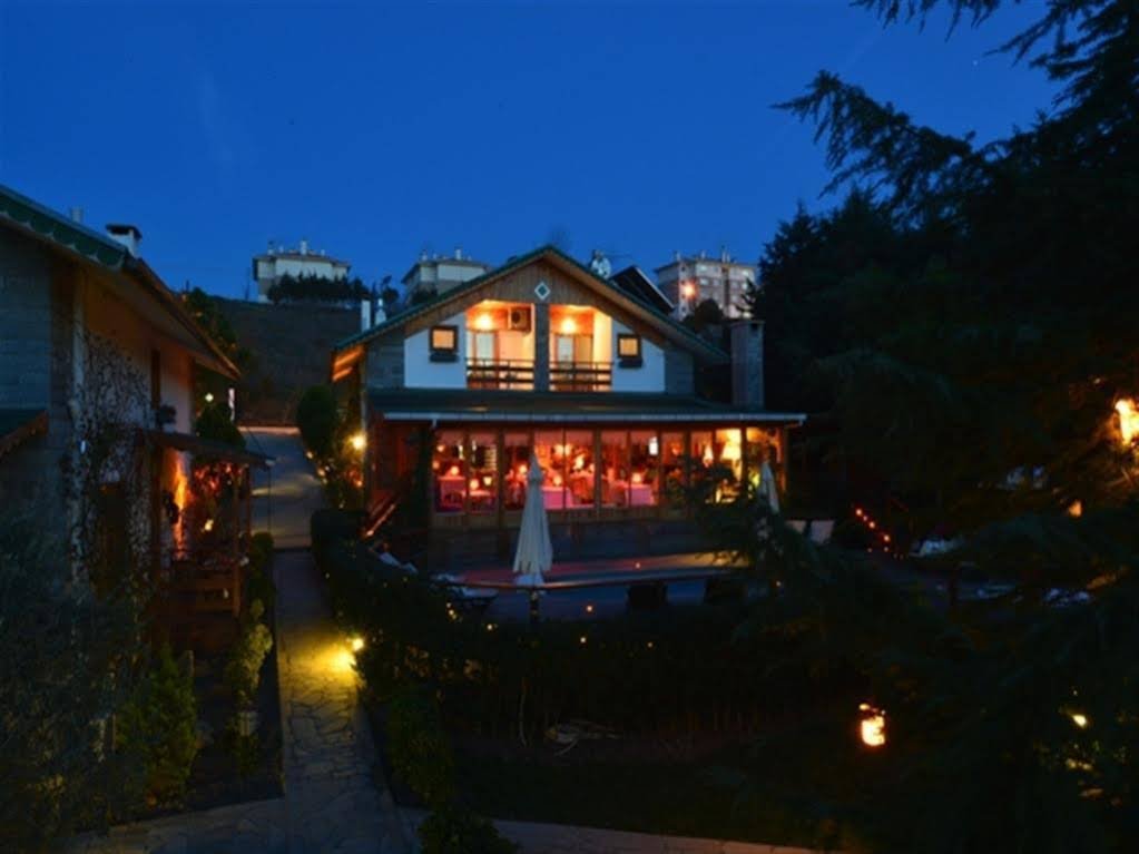Сайл: TreeTops Park Hotel