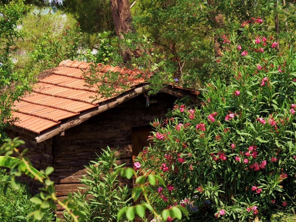 Кумлуджа: Havasupark Bungalow