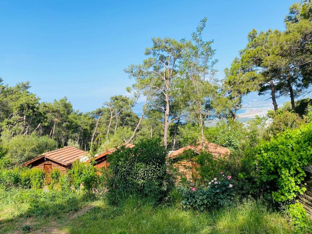 Кумлуджа: Havasupark Bungalow