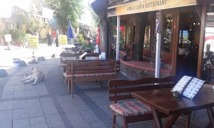 Сайл: Asmalı Kosk