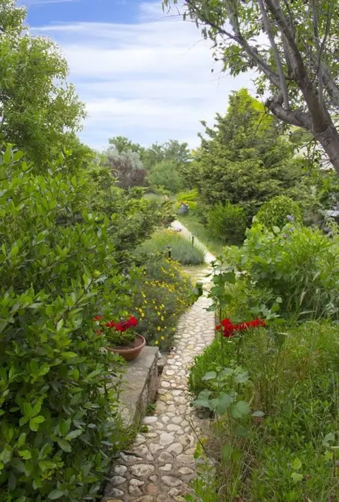 Бозджаада: Bagbadem Holiday Farm