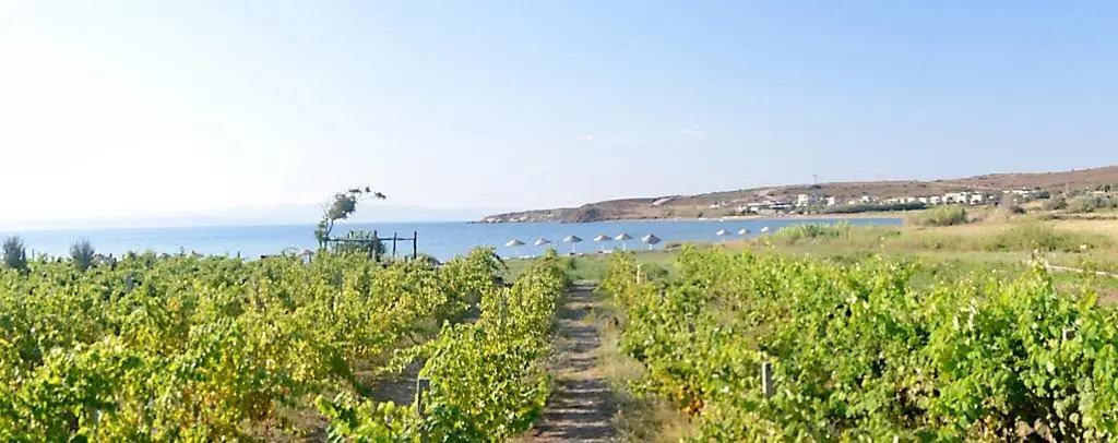 Бозджаада: Saklıbahçe Hotel