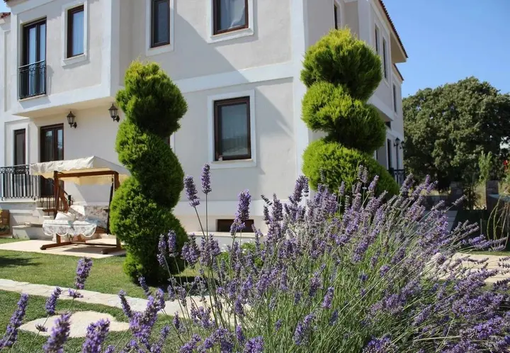 Бозджаада: Adacayi Hotel