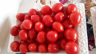 Эджеабат: Tuzcuoglu Pansiyon