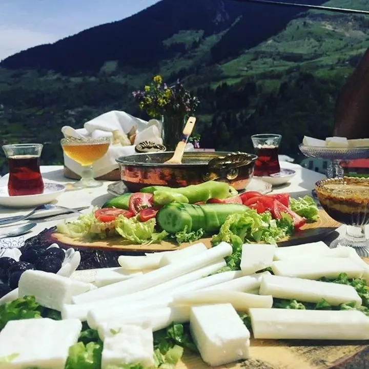 Гюмюшхане: Konak Palas Hotel