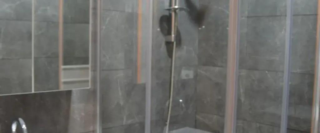 Хейбелиада: Halki Prenset Hotel