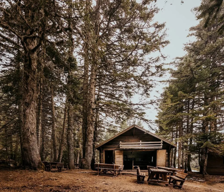Османгази: Karinna Forest Houses
