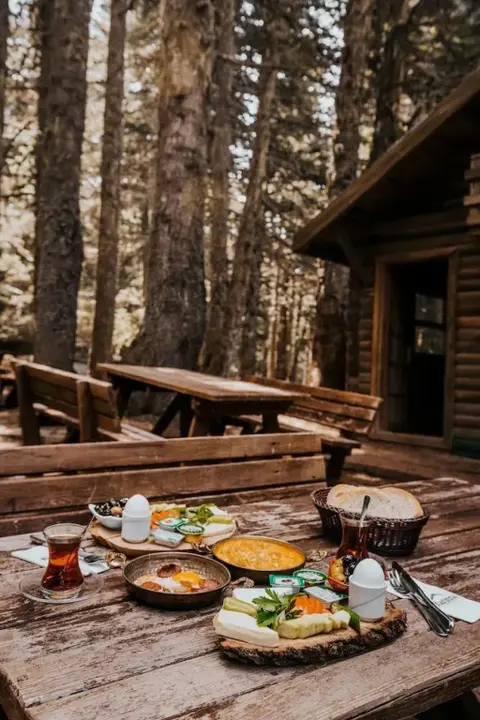 Османгази: Karinna Forest Houses