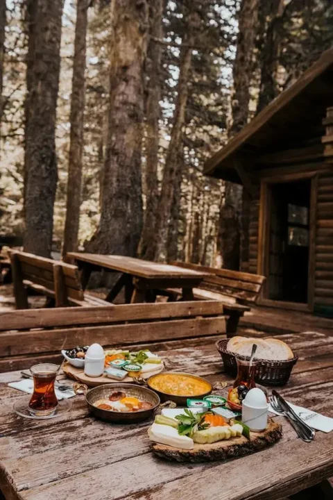 Османгази: Karinna Forest Houses