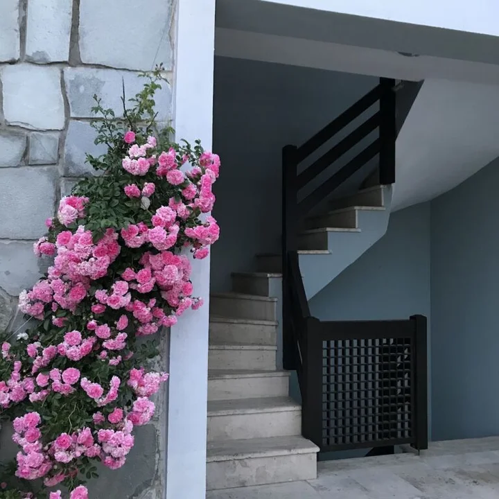 Бозджаада: Siesta Otel Bozcaada