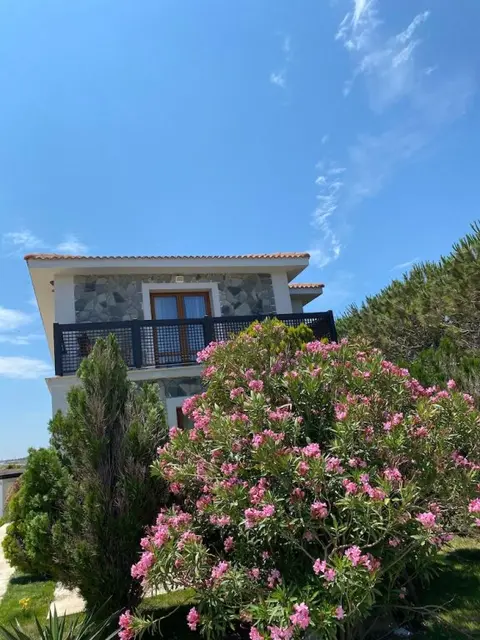 Бозджаада: Siesta Otel Bozcaada