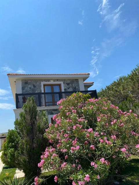 Бозджаада: Siesta Otel Bozcaada