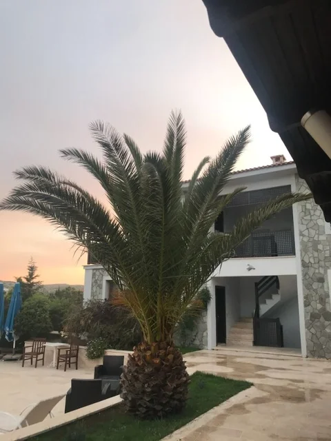 Бозджаада: Siesta Otel Bozcaada